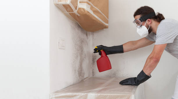Professional Mold Remediation technician working in Allenwood, PA