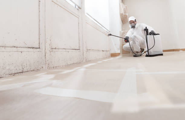 24/7 Emergency Mold Remediation experts in Allenwood, PA