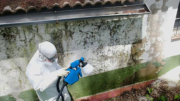 Top rated local Mold Remediation specialists in Allenwood, PA